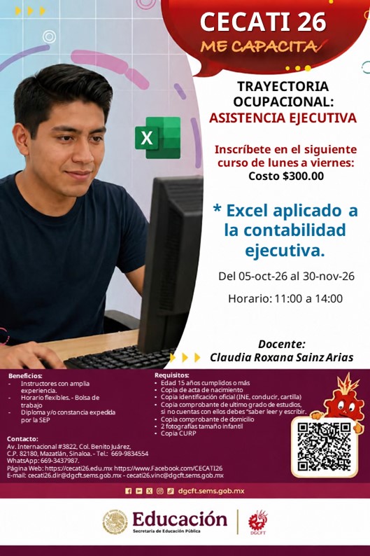 Excel aplicado a la contabilidad ejecutiva